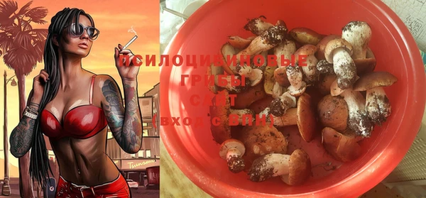 кокс Алексеевка