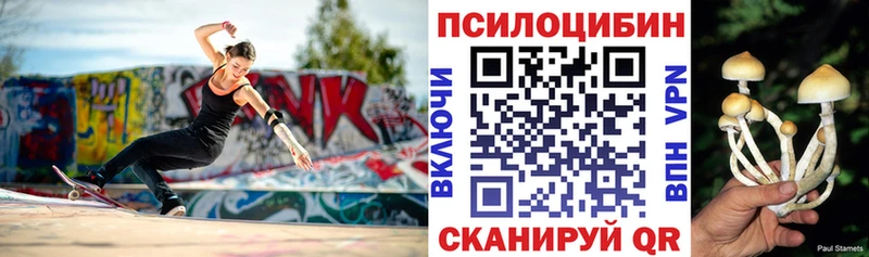 Галлюциногенные грибы Psilocybine cubensis  Челябинск 